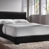 Padded Bed - [Twin $199] [Full $219] [Queen $229] [King $399]
Coaster 300260 Black